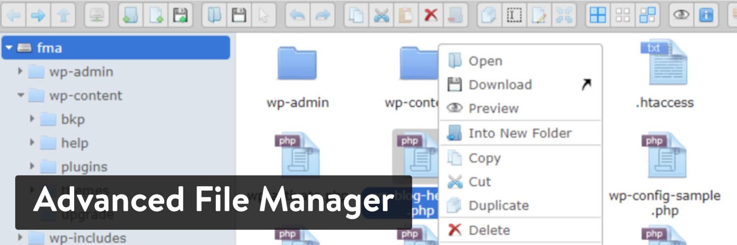 Complemento de WordPress Advanced File Manager