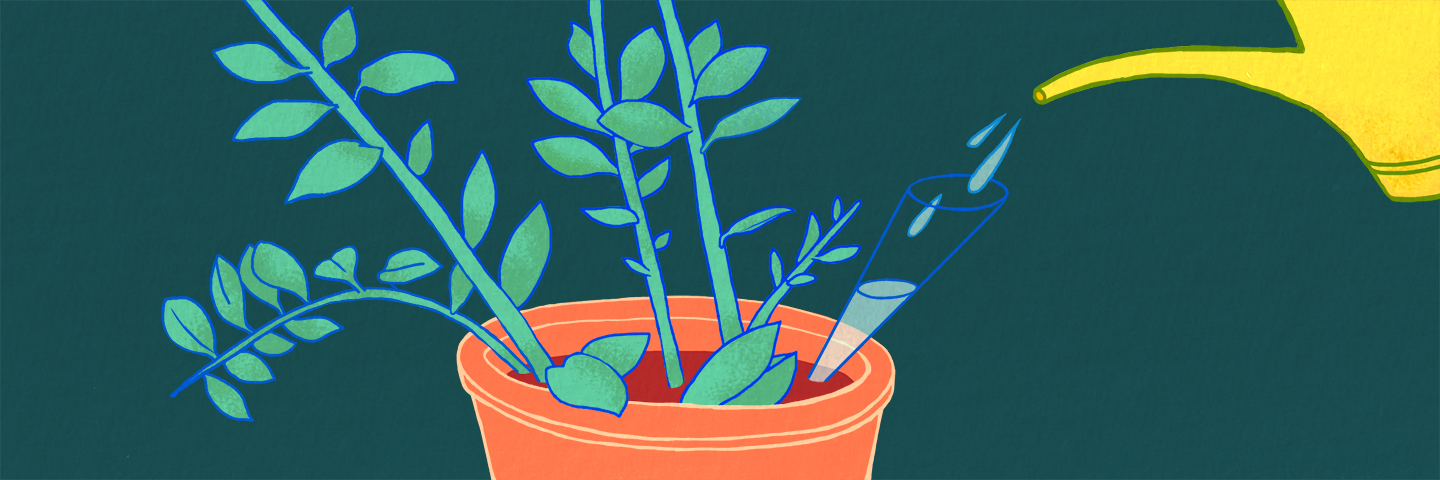 illustration of a plant being watered