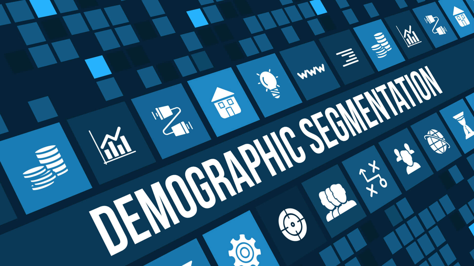 demographic-segmentation-ss-1920
