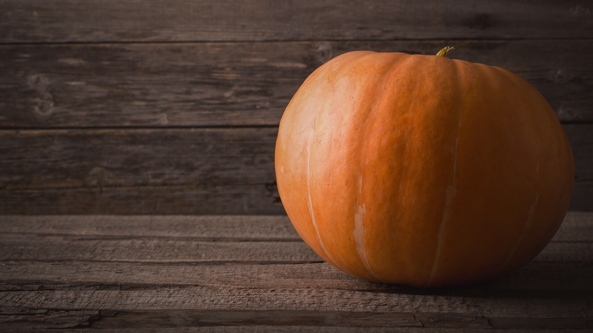 Bing Ads comparte datos de Halloween para anunciantes: búsqueda, tendencias de CTR CPC