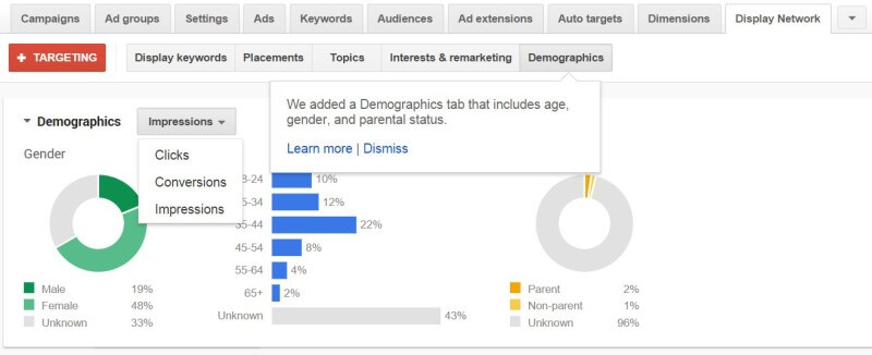Pestaña de datos demográficos de Google AdWords