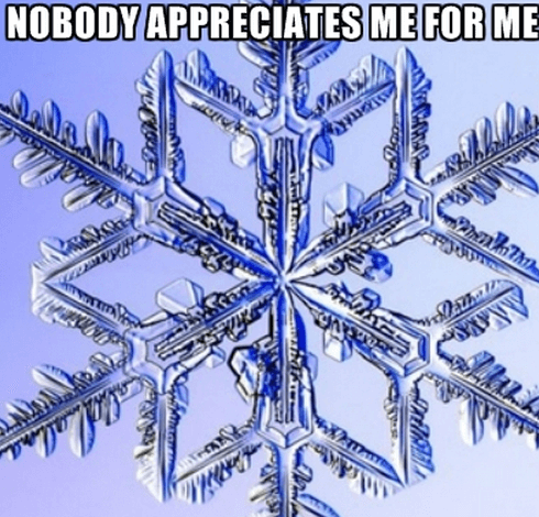 meme especial de copo de nieve